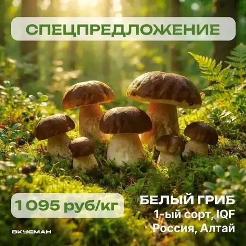 Фото объявления: 🍄‍🟫 Белые грибы 1-й сорт со скидкой, Барнаул