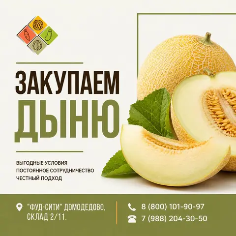 Фото объявления: Компания «АЛМАК-АГРО» закупает дыню, Москва