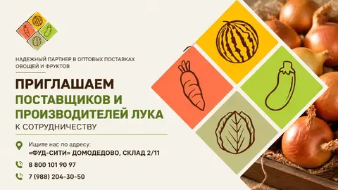 Фото объявления: Компания "АЛМАК-АГРО" закупает репчатый лук 🧅для поставок в торговые сети., Домодедово