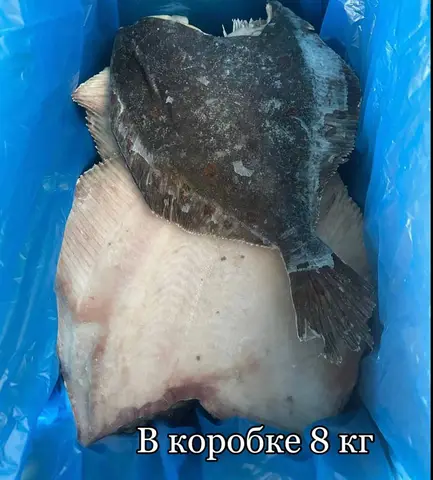 Фото объявления: Камбала крупная