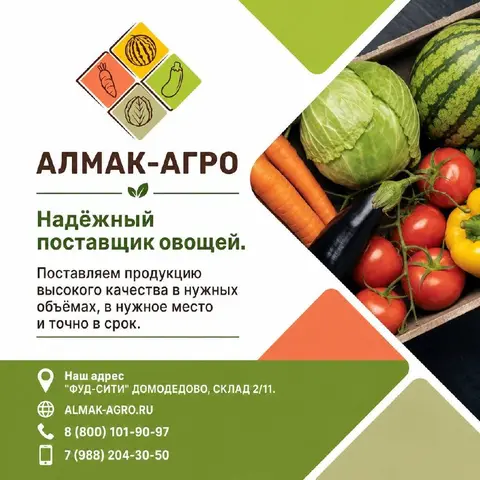 Фото объявления: АЛМАК-АГРО — надёжный поставщик в мире овощей и фруктов.